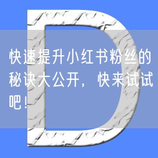 快速提升小红书粉丝的秘诀大公开，快来试试吧！