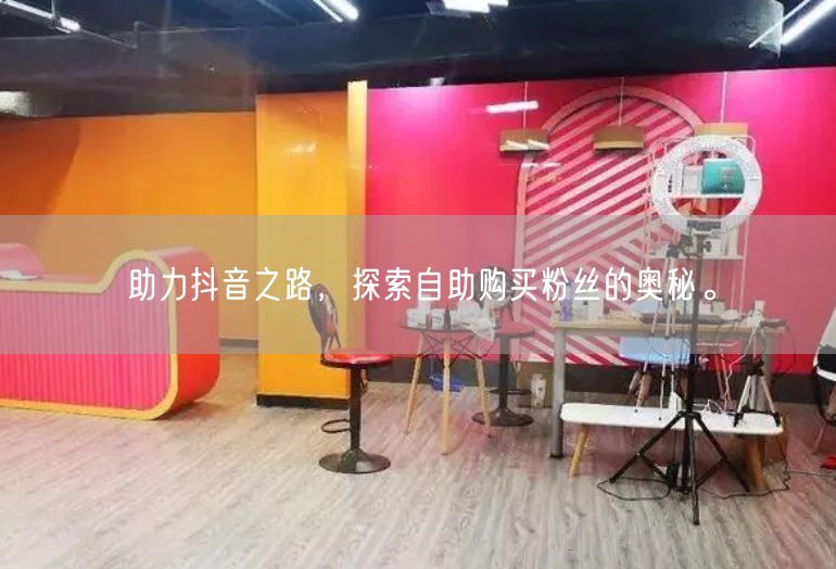 助力抖音之路，探索自助购买粉丝的奥秘。