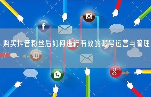 购买抖音粉丝后如何进行有效的账号运营与管理？