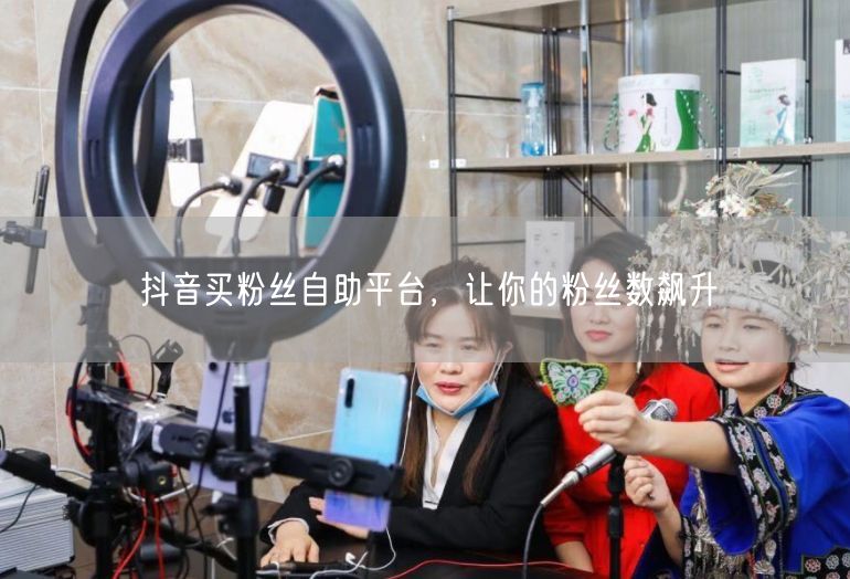 抖音买粉丝自助平台，让你的粉丝数飙升